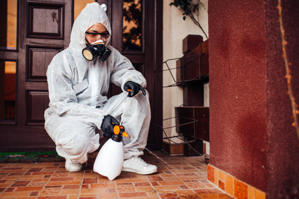 Reliable Ant Control contractor in Shannon, GA by Nex Pest Control